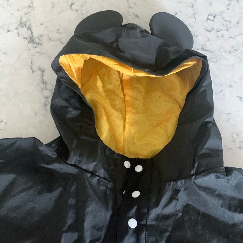 Disney poncho